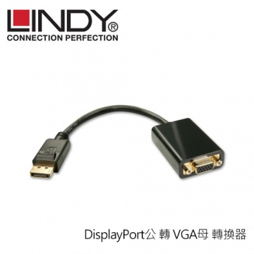LINDY 41006 DisplayPort 公 轉 VGA 母 轉換器