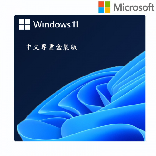Microsoft 微軟 Windows 11 Pro 中文專業盒裝版 (軟體售出，恕無法退換貨)