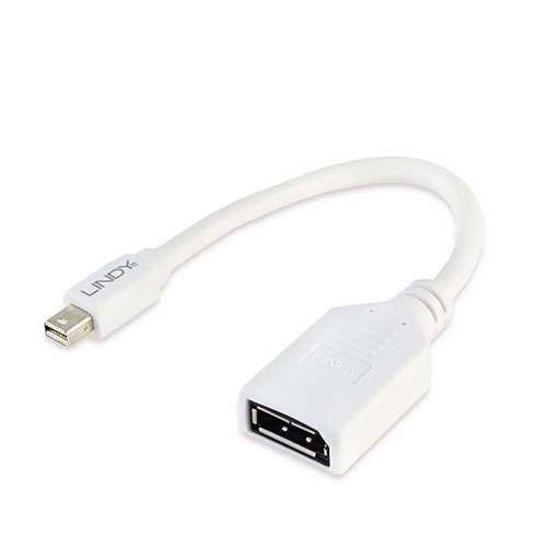 LINDY 林帝 41021 Mini DisplayPort 公 to DisplayPort 母 20cm 轉接器