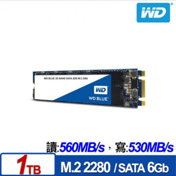 WD 1TB M.2 SATA 3D NAND SSD 藍標 固態硬碟