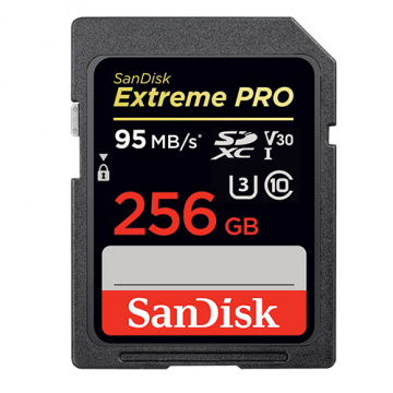 SanDiskEX Pro SDXC 256G (170MB) 記憶卡