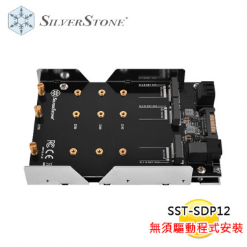 SilverStone 銀欣 SST-SDP12 3.5吋 轉 M.2 SSD SATA x2 & PCIe NVMe x1