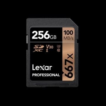 Lexar SDHC I 256G (100MB)667X 記憶卡