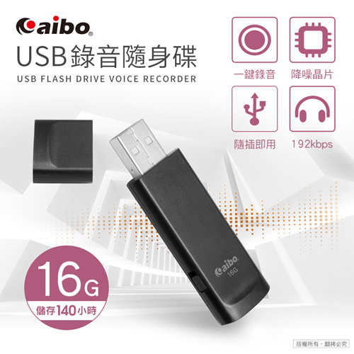aibo 輕薄隨身型 USB錄音隨身碟 16GB (OO-72X9-16G)