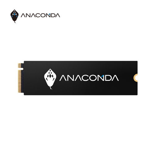 ANACOMDA 巨蟒 i2 256GB M.2 2280 PCie SSD 固態硬碟 3D TLC 讀2000MB 寫1000MB