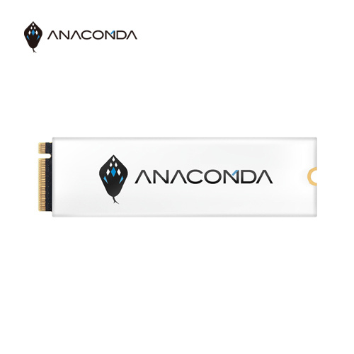 ANACOMDA 巨蟒 i3 256GB M.2 2280 PCie SSD 固態硬碟 3D TLC 讀3000MB 寫1000MB