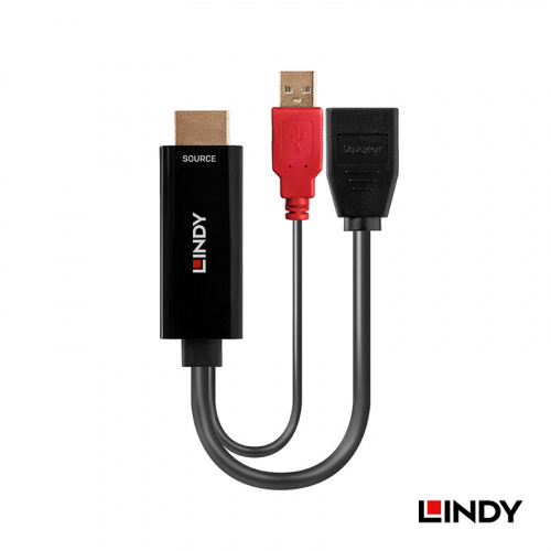 LINDY 林帝 38289 HDMI 2.0 轉 DisplayPort 1.2 4K 60HZ 轉接線