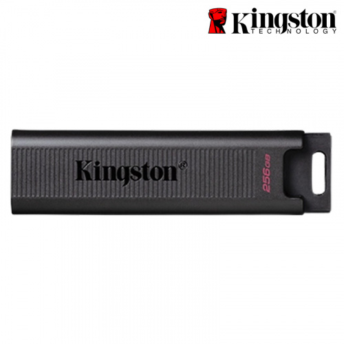 Kingston 金士頓 DataTraveler Max DTMAX USB 3.2 Gen 2 Type-C 256GB 隨身碟 DTMAX/256GB