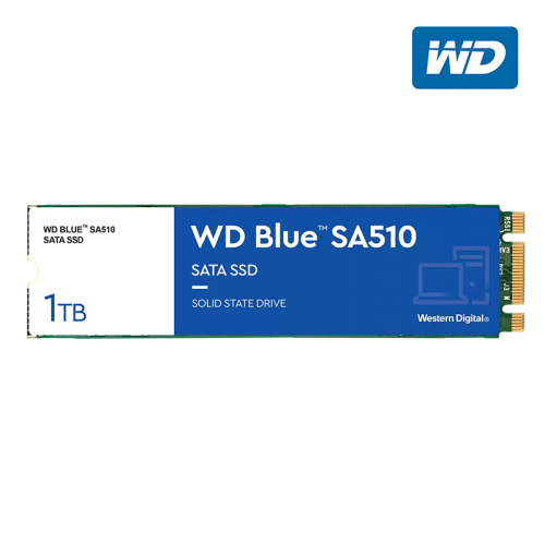 WD 威騰 BLUE 藍標 SA510 1TB SATA M.2 2280 SSD 固態硬碟 WDS100T3B0B