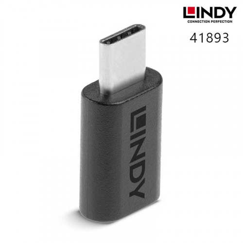 LINDY 林帝 41893 USB3.2 GEN2x2 TYPE-C 公 對 母 轉接頭