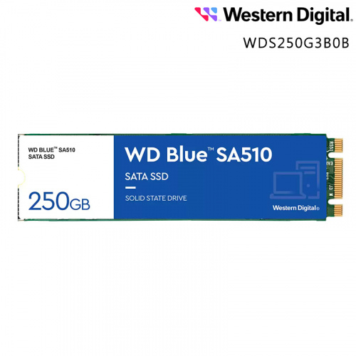 WD 藍標Blue SA510 250GB M.2 SATA SSD固態硬碟 五年保固 WDS250G3B0B