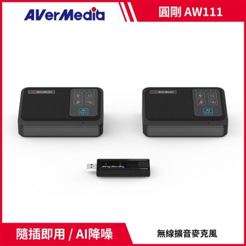 AVerMedia 圓剛 AW111 5.8GHz 一對二無線收音麥克風組 會議麥克風